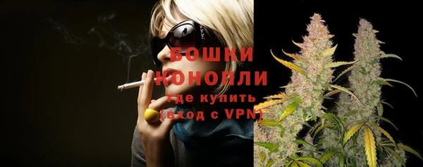 молекула духа Волоколамск