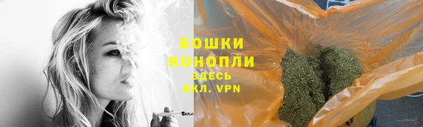 молекула духа Волоколамск