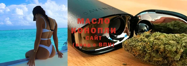 молекула духа Волоколамск