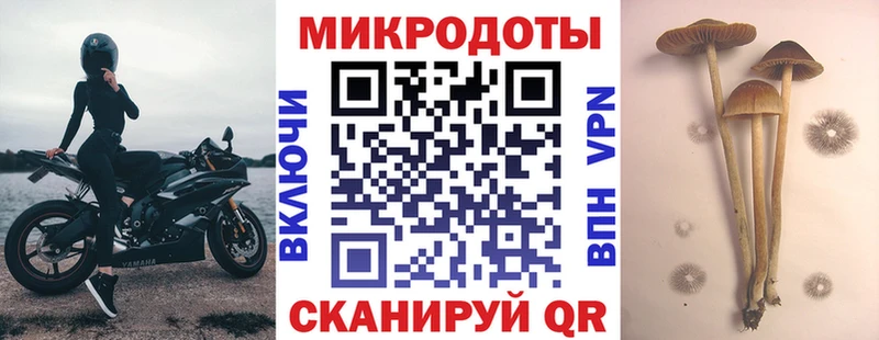 Купить где  Кохма  Галлюциногенные грибы ЛСД 